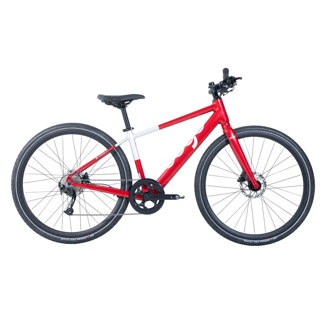 Ebgo Modal Sport TB