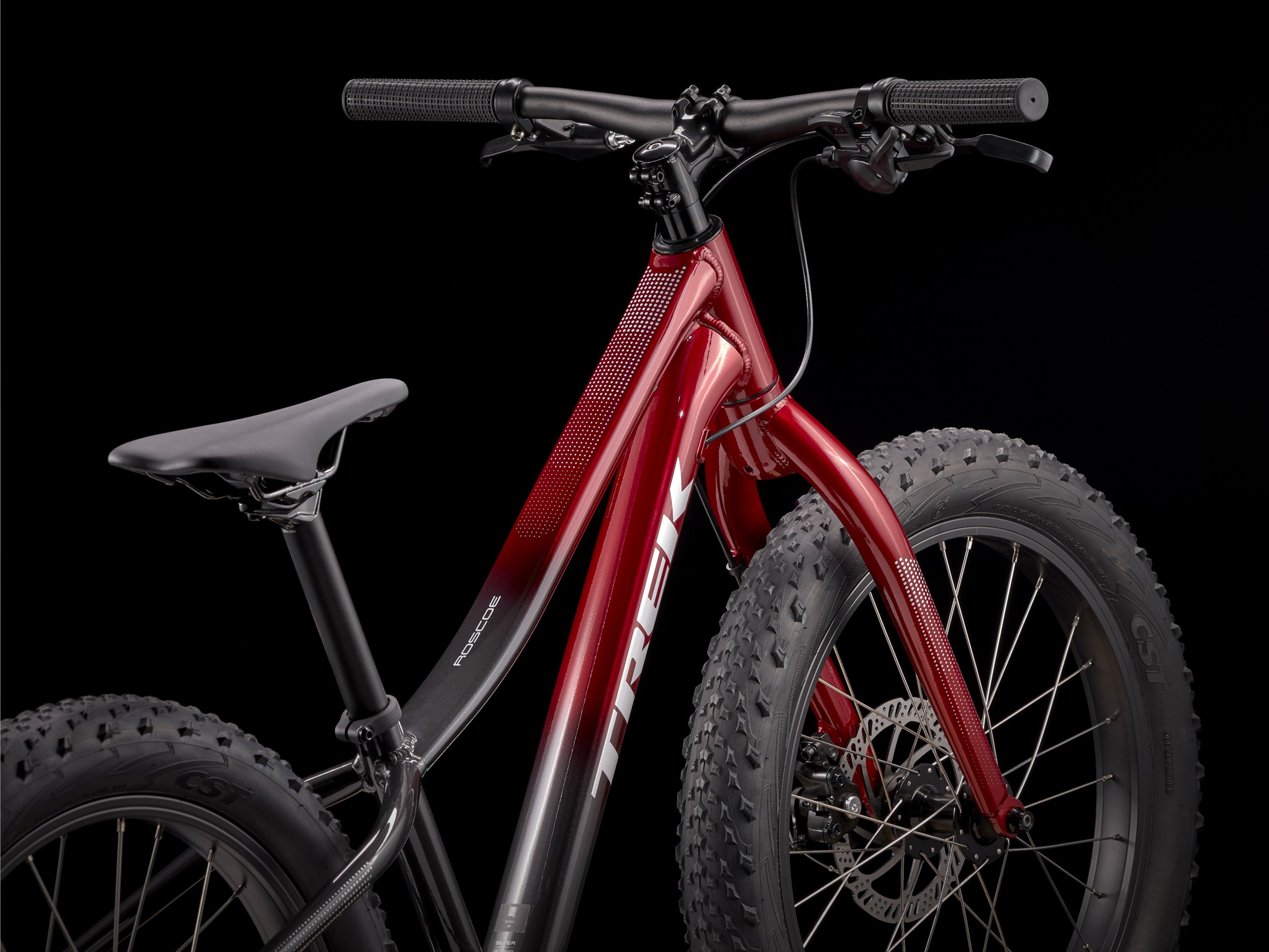 Trek Roscoe 20